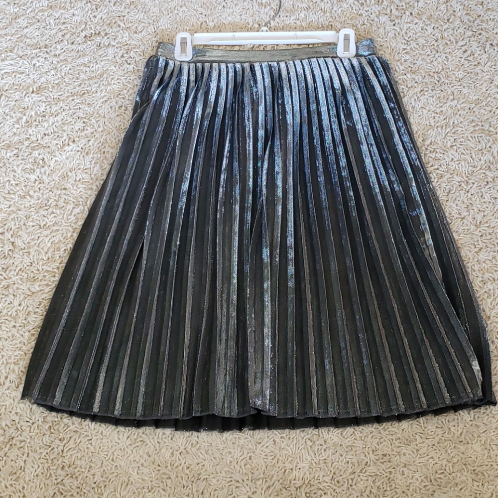 Sparkling skirt